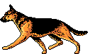 ShepDog.gif (5287 bytes)