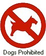 dogs.jpg (6243 bytes)